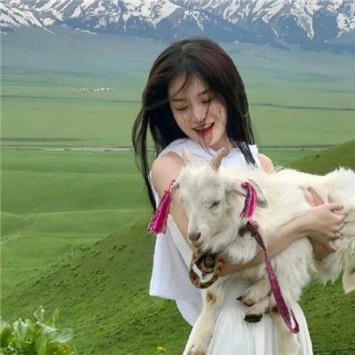 总裁是个纸片人